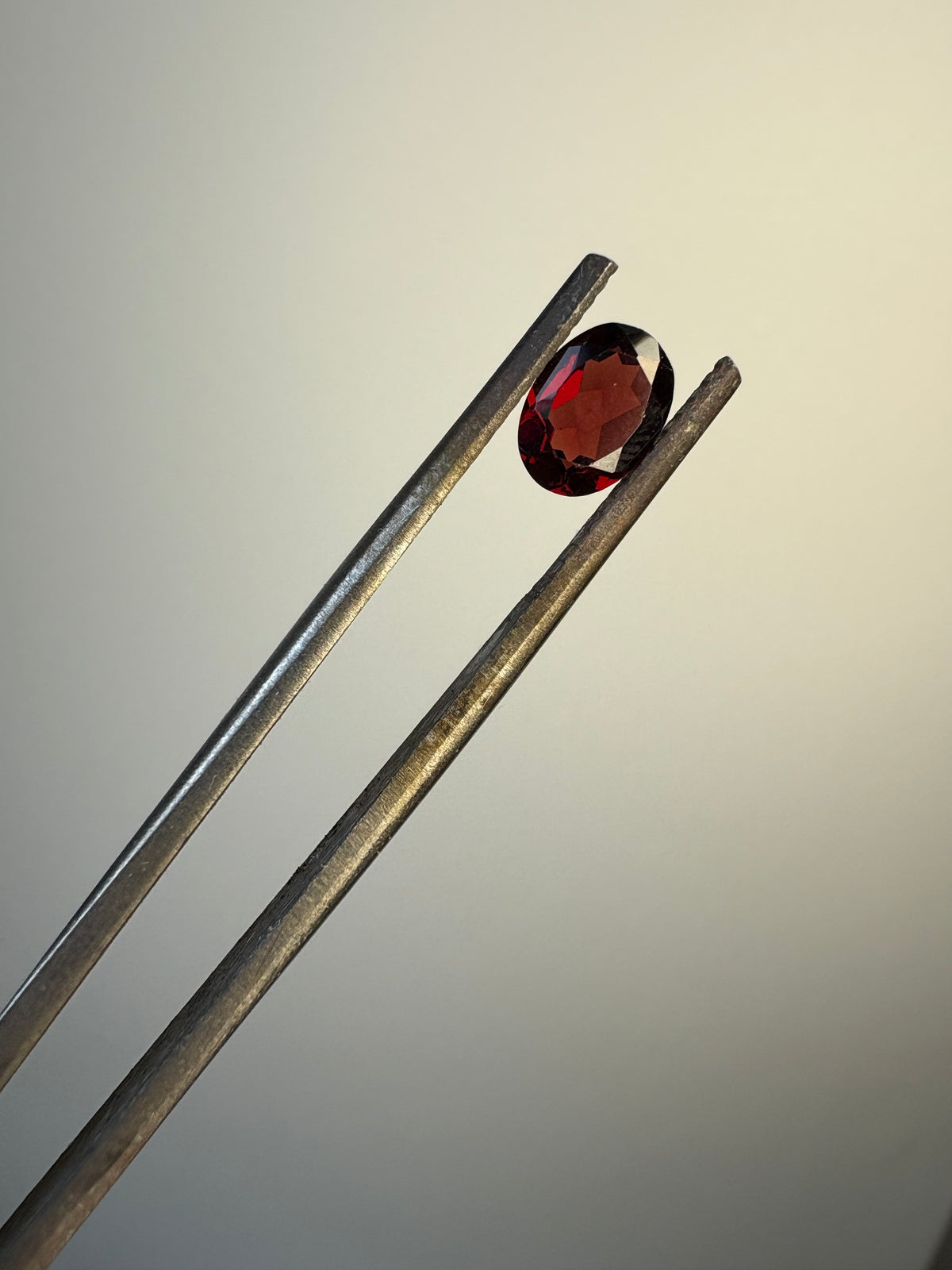 A small oval-cut red garnet held between two metal tweezers against a plain light gray background.
